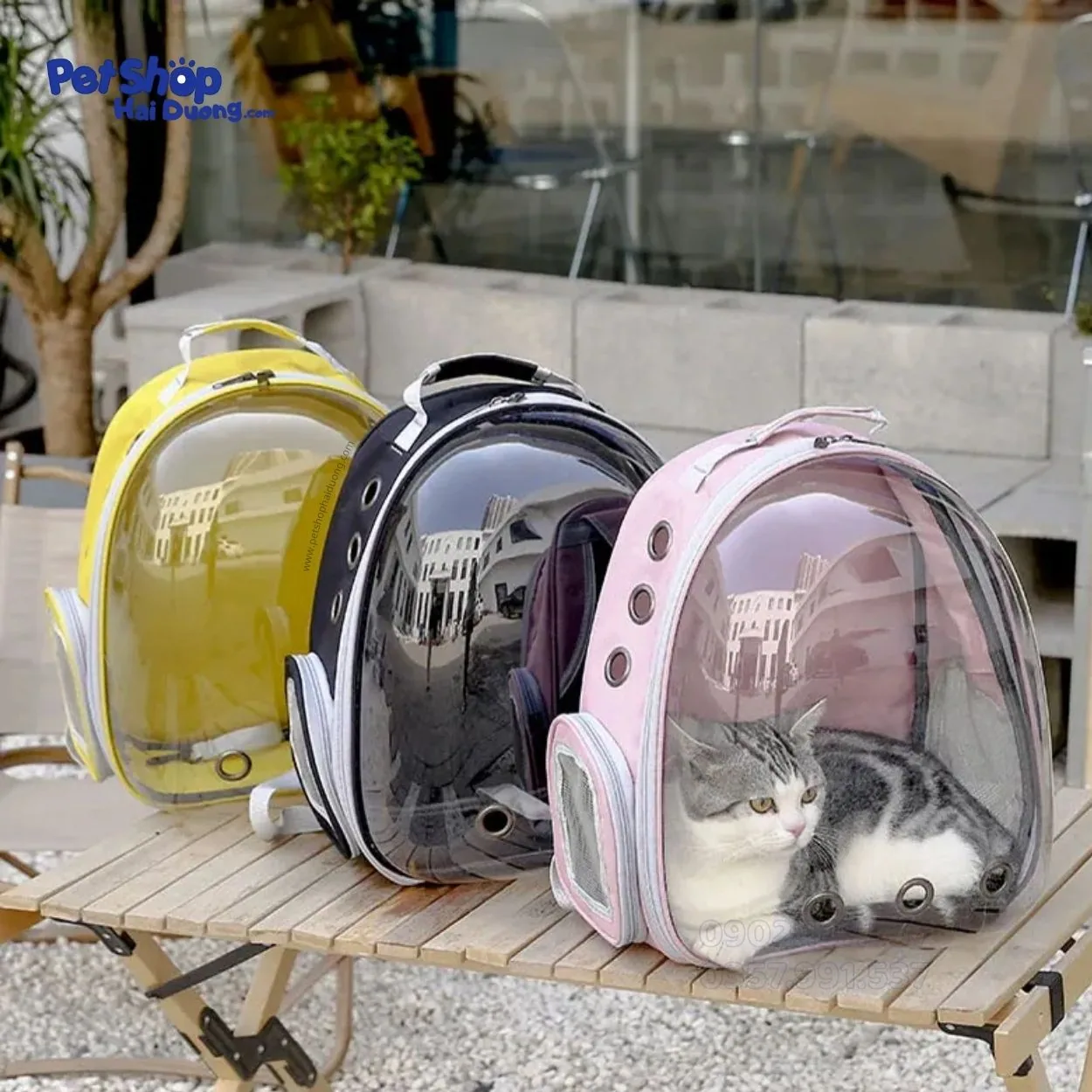 balo-van-chuyen-cho-meo6