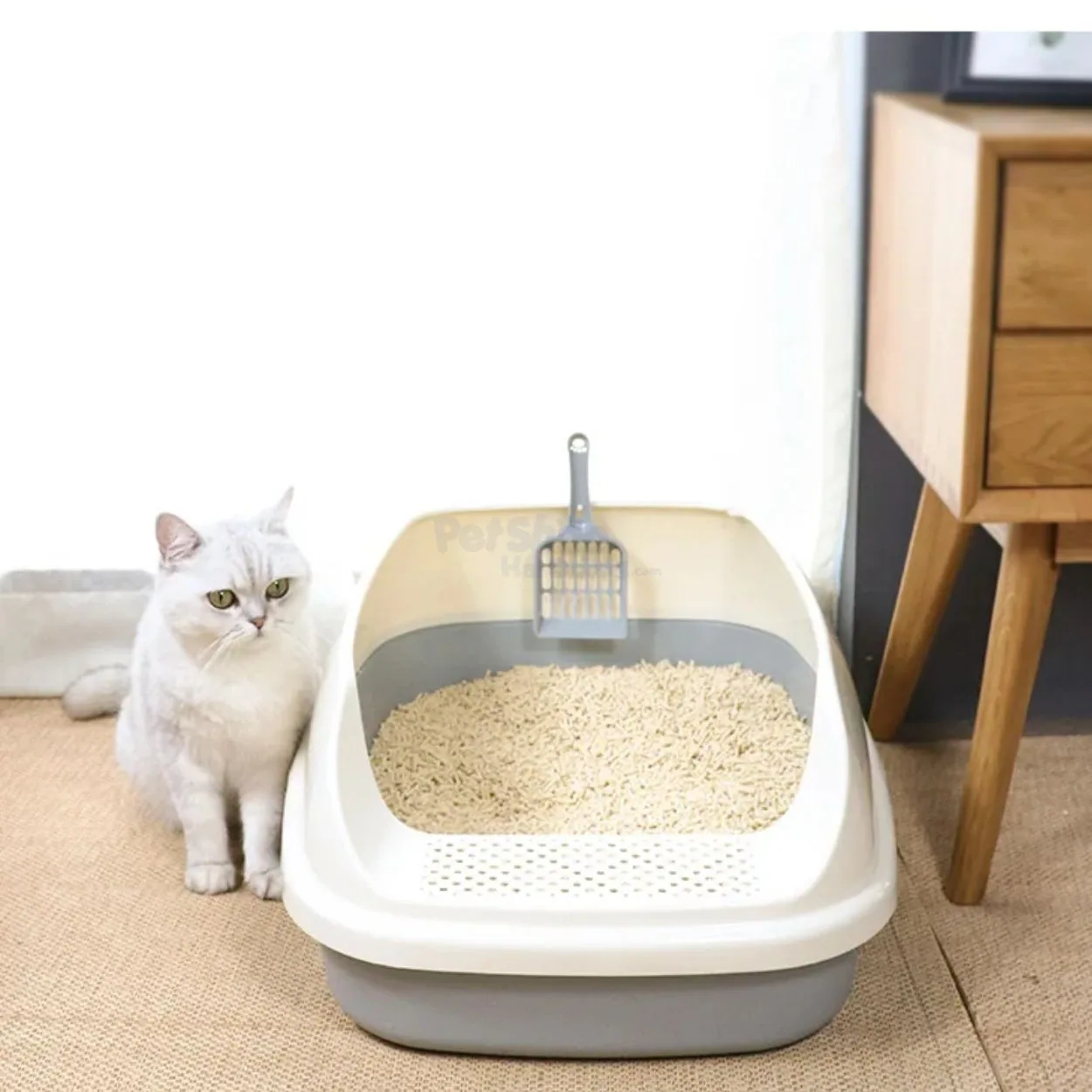 chau-cat-meo11