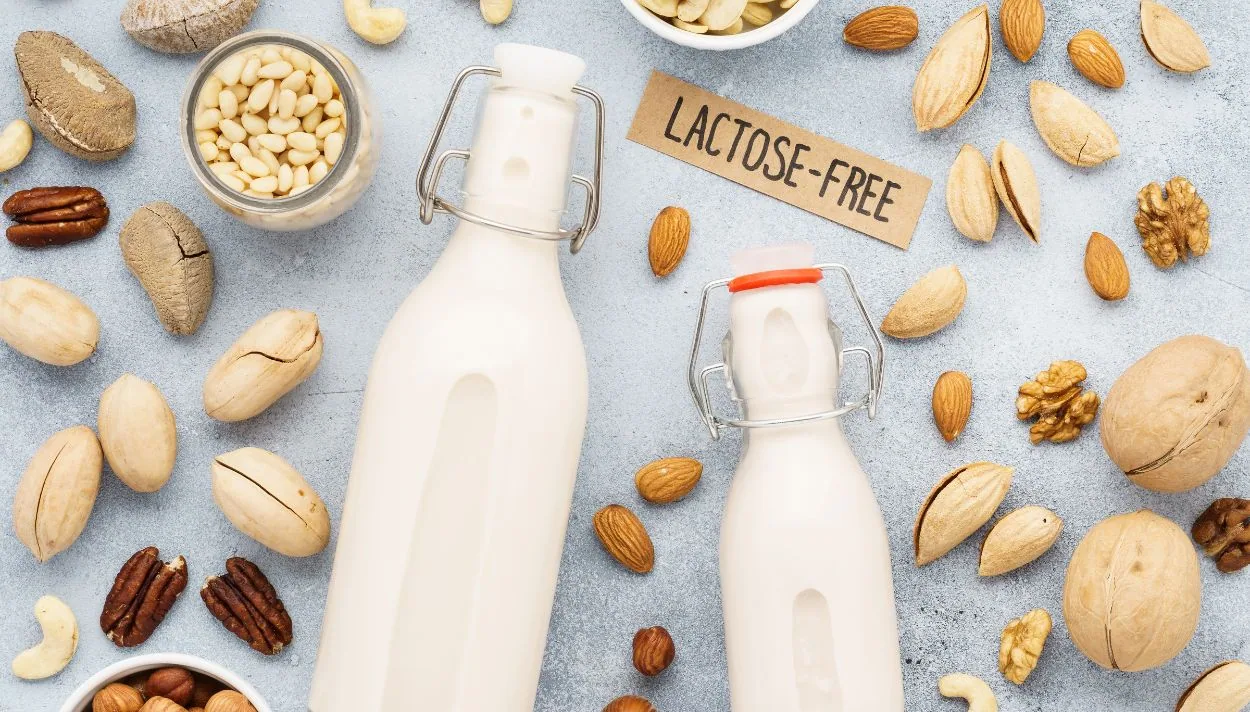 Lactose (Lac) là gì và có ảnh hưởng đến hệ tiêu hóa của mèo?