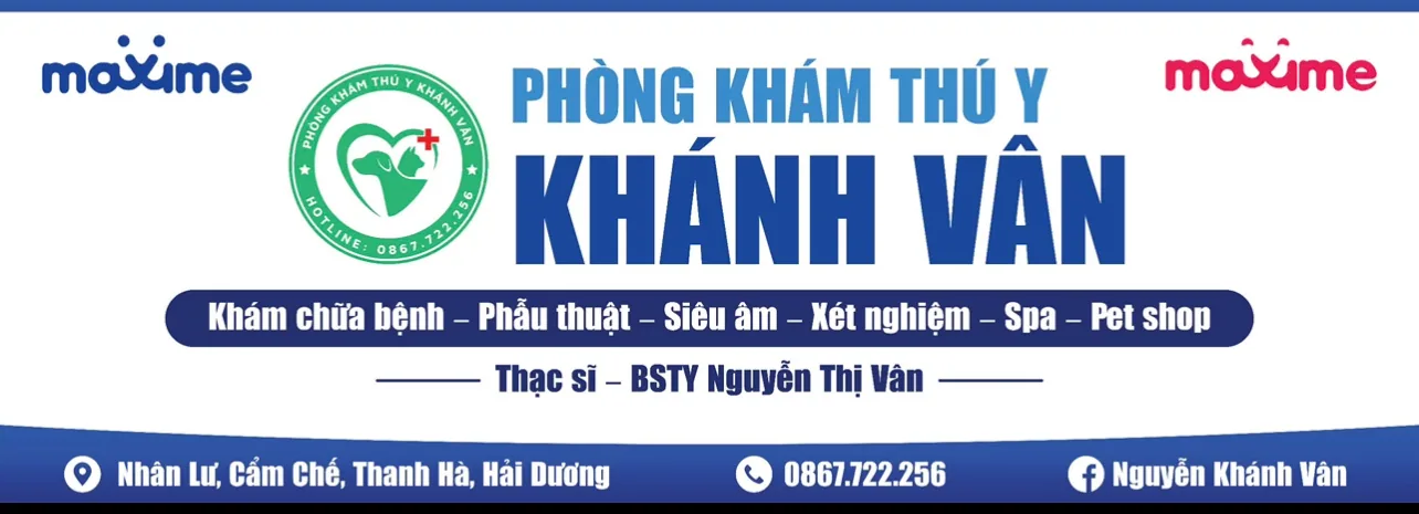 Phòng Khám Thú Y Khánh Vân – Pet Shop & Spa tại Thanh Hà, Hải Dương