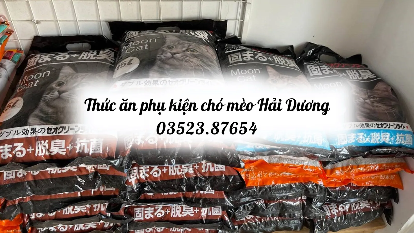 Kho sỉ/lẻ Thức ăn phụ kiện đồ dùng chó mèo tại TP.Hải Dương