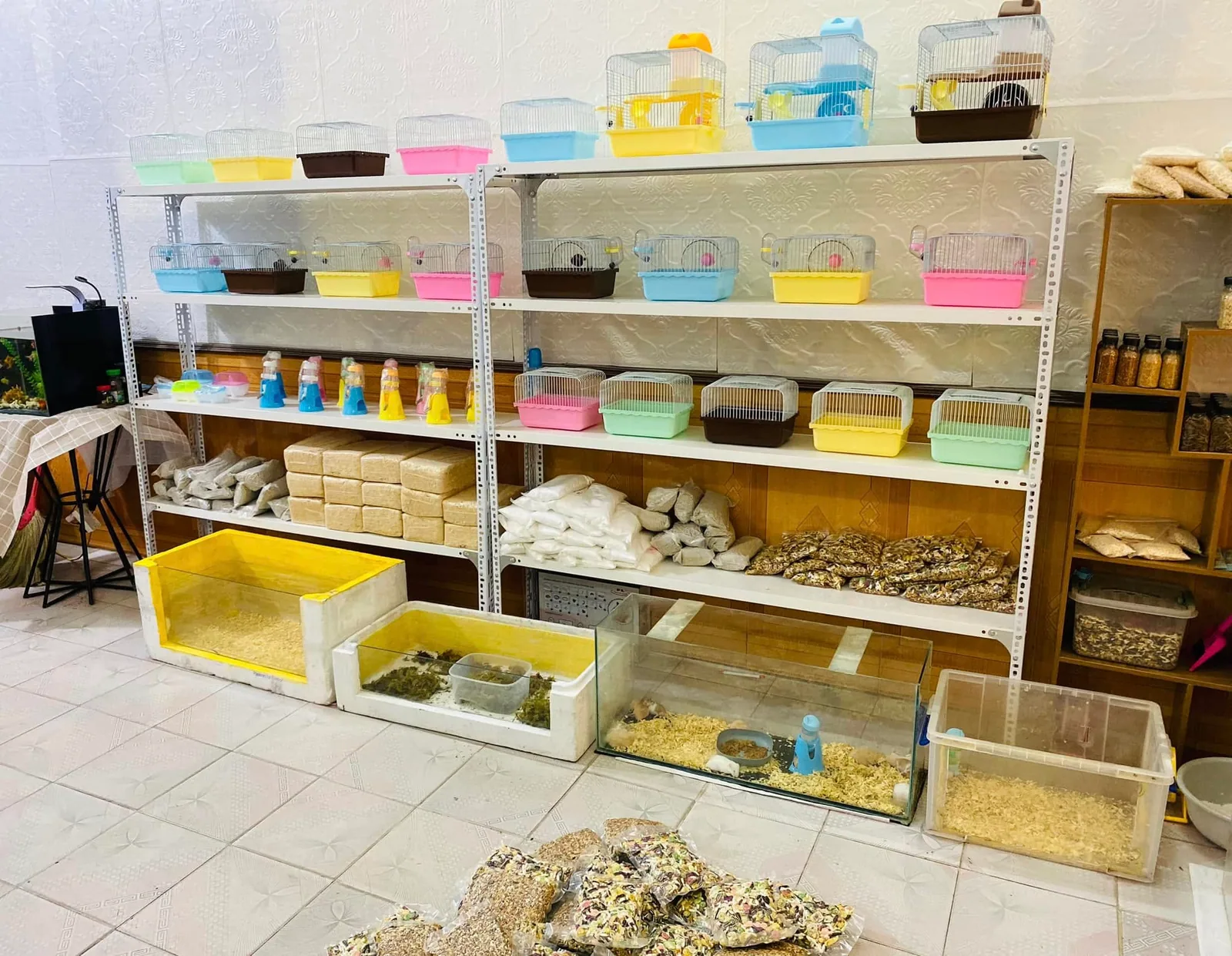 Trang Nhung Hamster Hải Dương cửa hàng phụ kiện thức ăn chuột Hamster tại Hải Dương